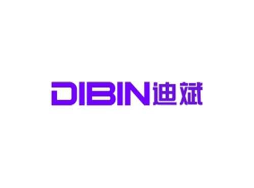 迪斌