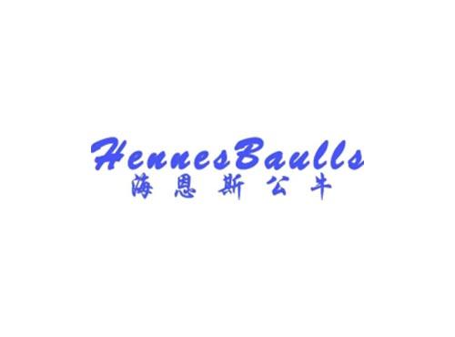 海恩斯公牛
