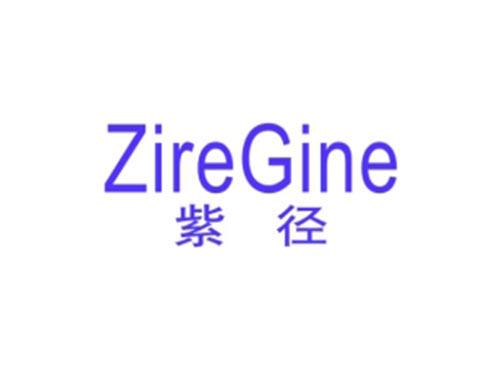 紫径