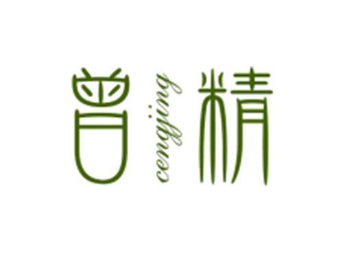 曾精