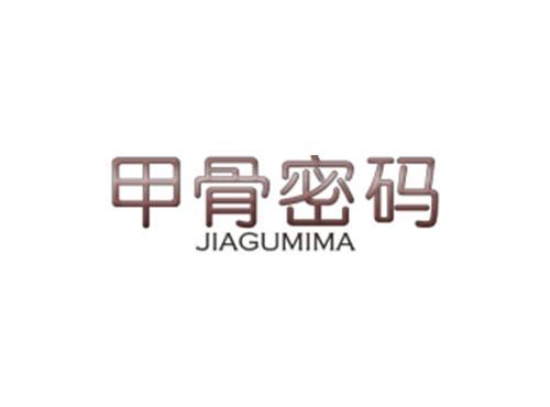 甲骨密码