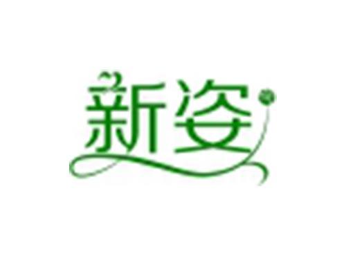 新姿