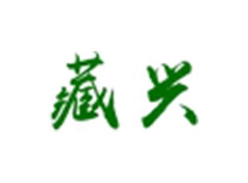 藏兴