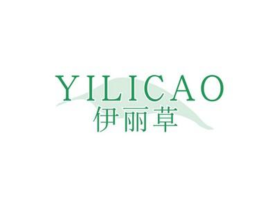 伊丽草YILICAO
