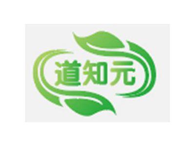 道知元