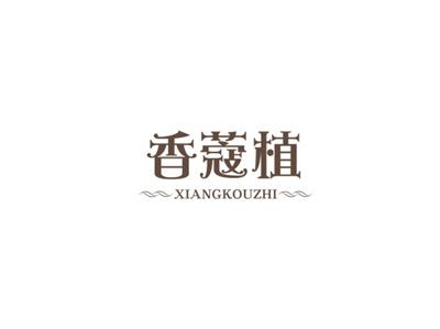 香蔻植XIANGKOUZHI