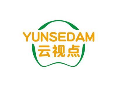云视点YUNSEDAM