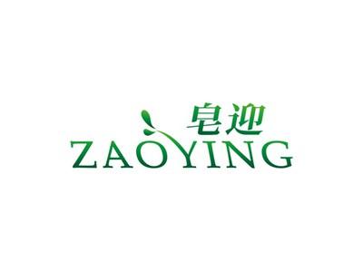 皂迎ZAOYING