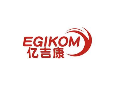 亿吉康EGIKOM