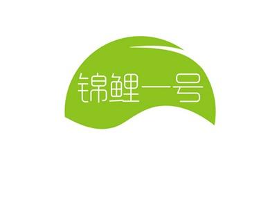 锦鲤一号