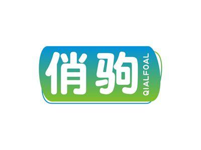 俏驹QIALFOAL