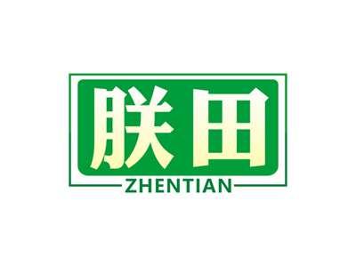 朕田ZHENTIAN