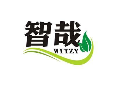 智哉WITZY