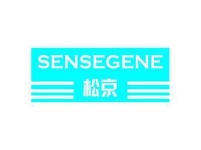 松京
SENSEGENE
