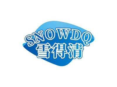 雪得清SNOWDQ