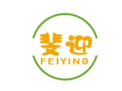 斐迎FEIYING