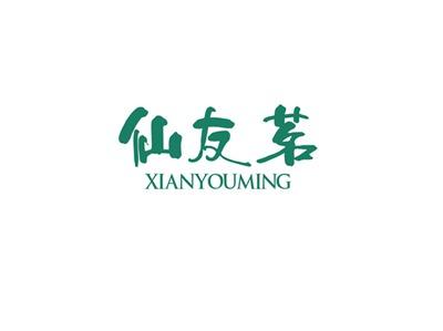 仙友茗XIANYOUMING