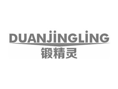 锻精灵DUANJINGLING