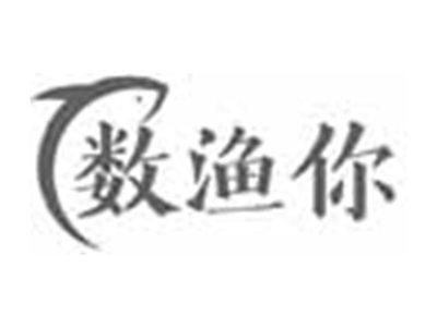 数渔你