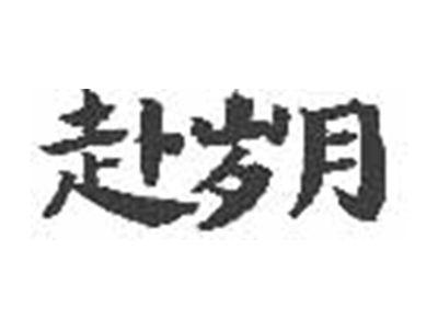 赴岁月