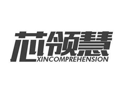 芯领慧XINCOMPREHENSION