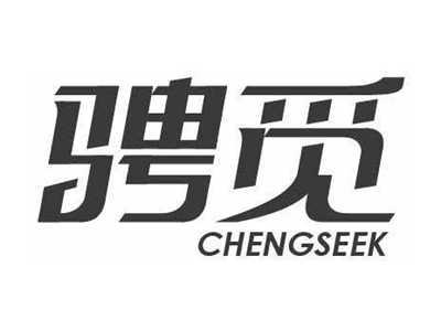骋觅CHENGSEEK