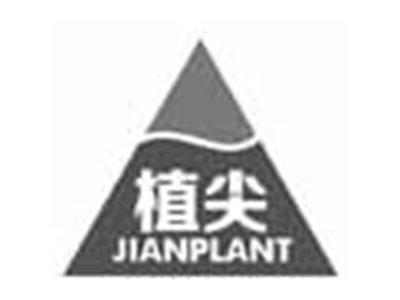 植尖JIANPLANT