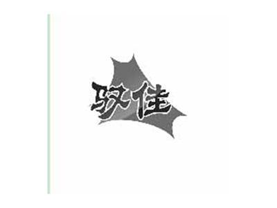 驭佳