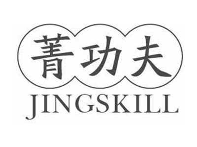 菁功夫JINGSKILL