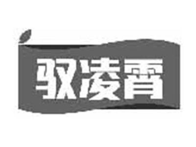 驭凌霄