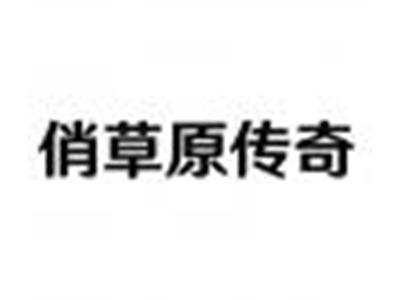 俏草原传奇