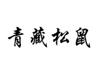 青藏松鼠