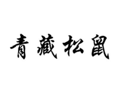 青藏松鼠