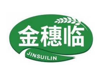 金穗临JINSUILIN