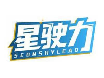 星驶力SEONSHYLEAD
