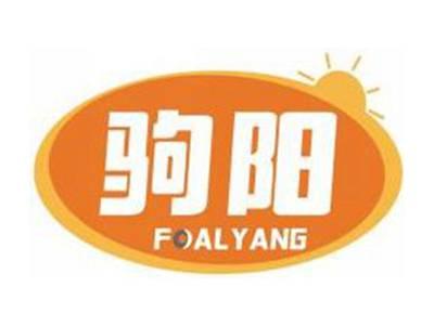 驹阳FOALYANG