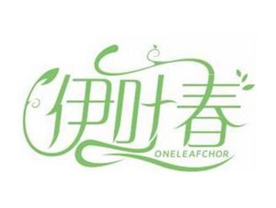 伊叶春ONELEAFCHOR