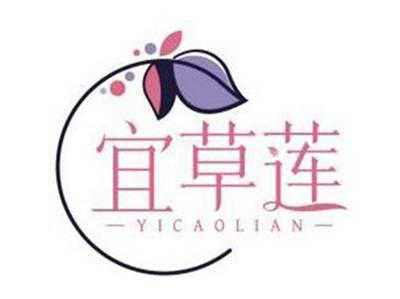 宜草莲YICAOLIAN