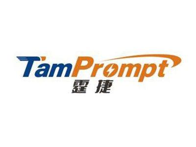 霆捷TAMPROMPT
