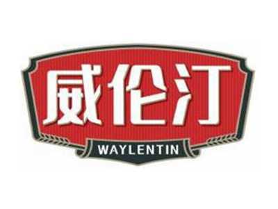 威伦汀WAYLENTIN