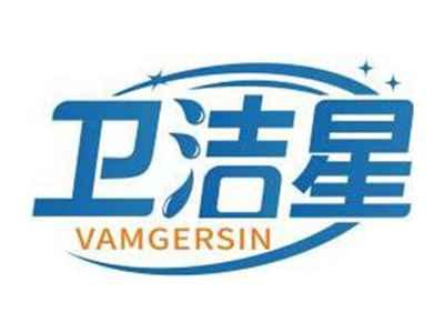 卫洁星VAMGERSIN