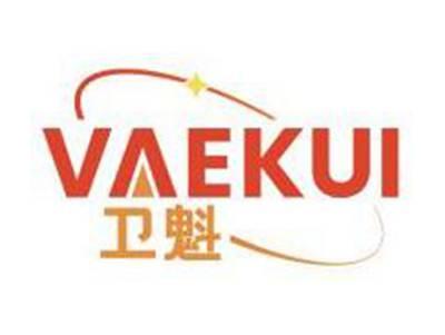 卫魁VAEKUI