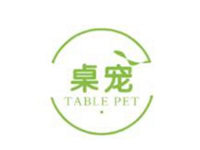 桌宠TABLEPET