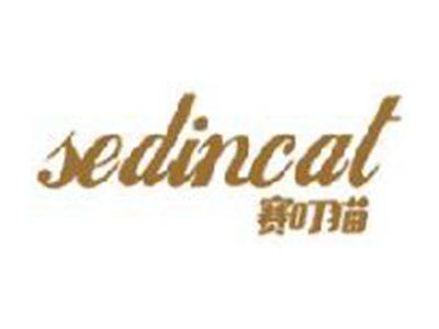 赛叮猫
SEDINCAT