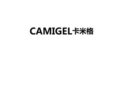 卡米格
CAMIGEL