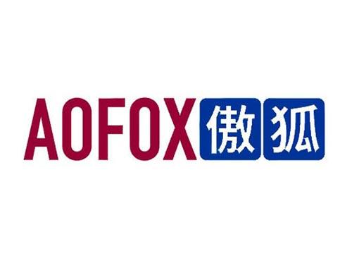 傲狐 AOFOX