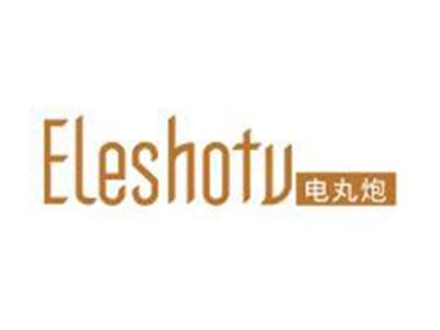 电丸炮