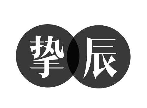 挚辰