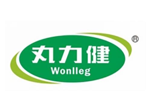 丸力健