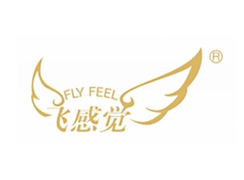 飞感觉